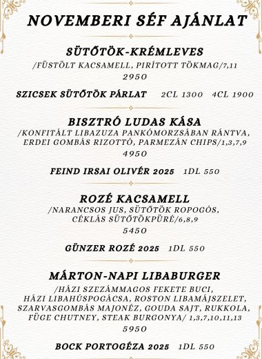 2025 novemberi séfajánlat _page-0001